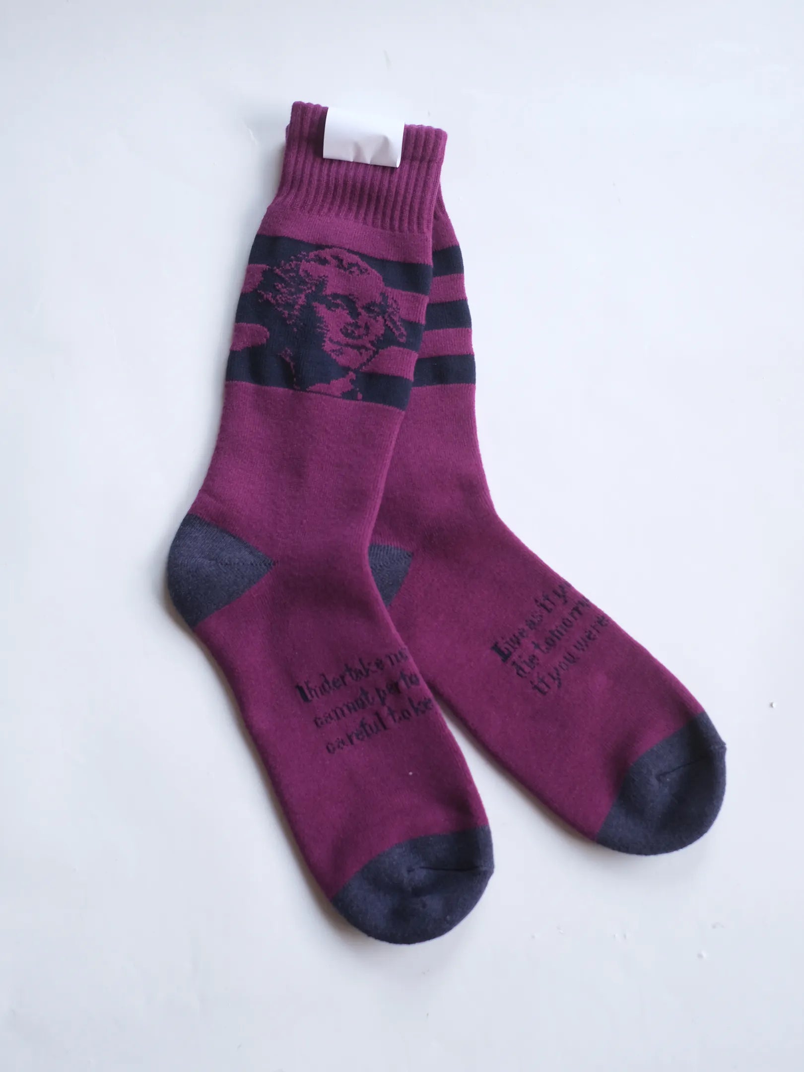 SHOWATABÉ by BRÚ NA BÓINNE "Pile Socks｜Wisdom"