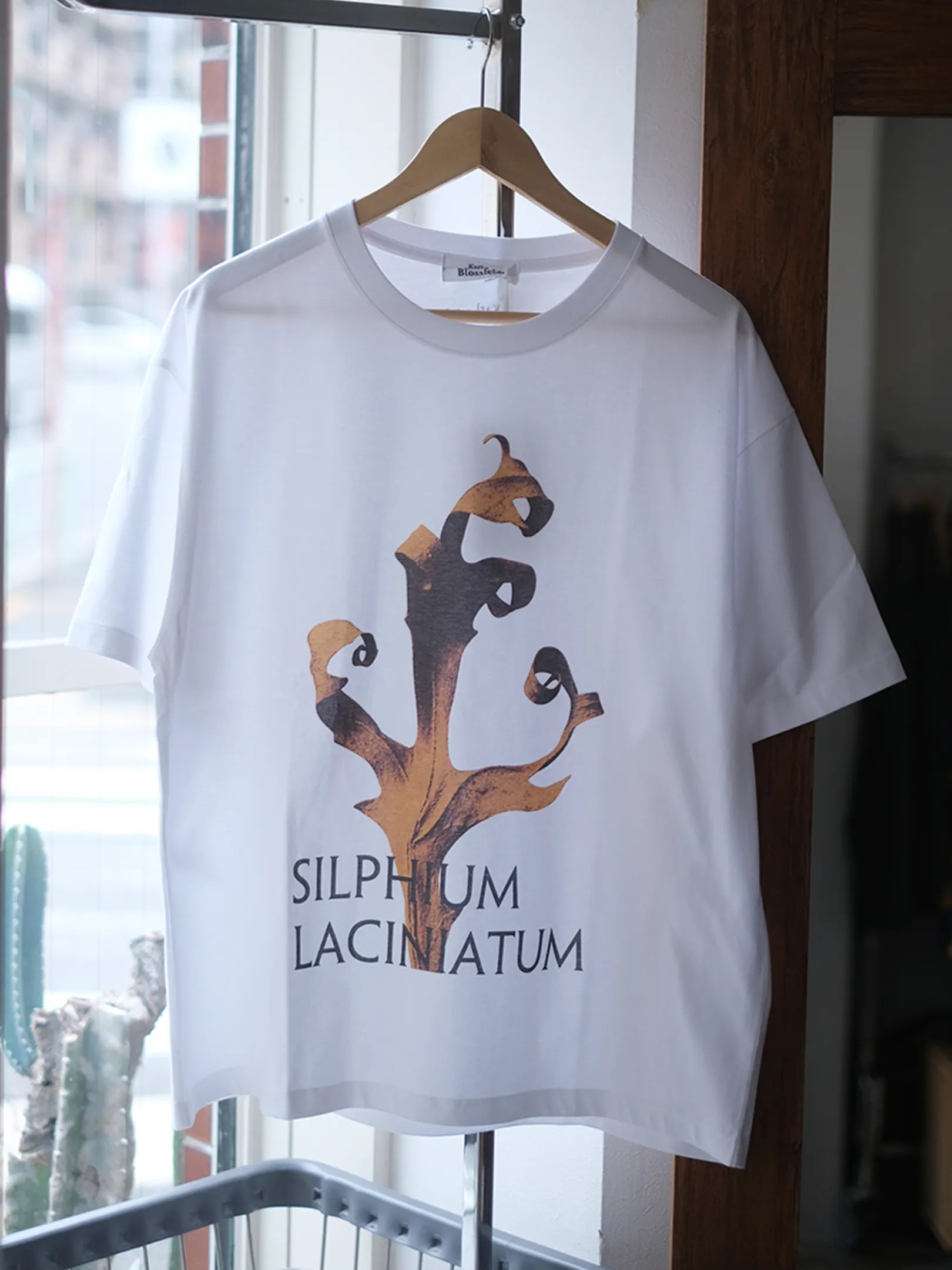 ●PRE-ORDER  Karl Blossfeldt "SILPHIUM LACINIATUM T-Shirt"(2colors)