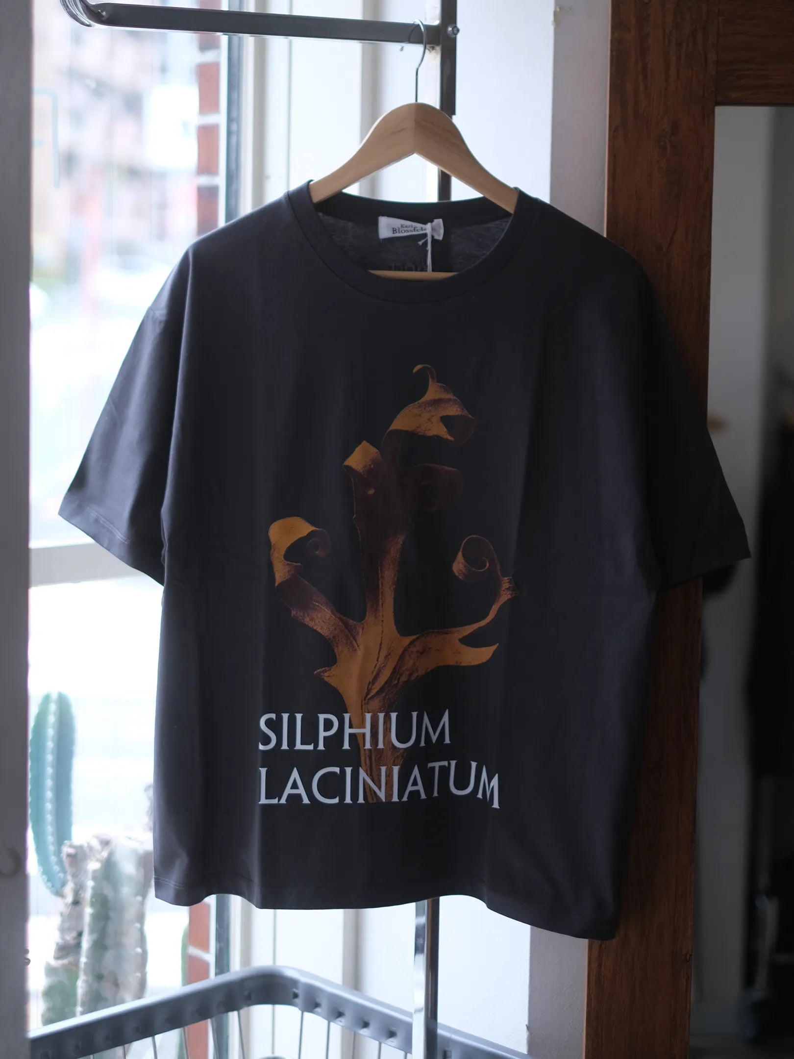 ●PRE-ORDER  Karl Blossfeldt "SILPHIUM LACINIATUM T-Shirt"(2colors)