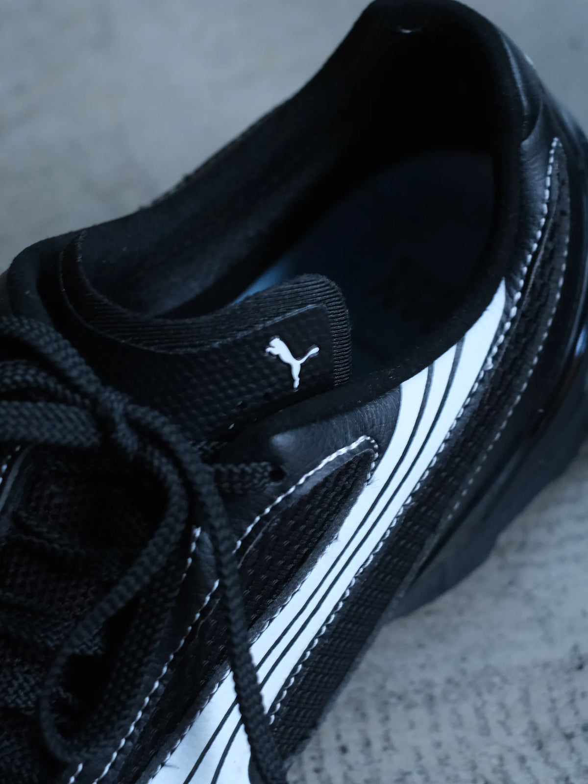 10/31 12~ SEDAN ALL-PURPOSE "PUMA x SEDAN V-S1"