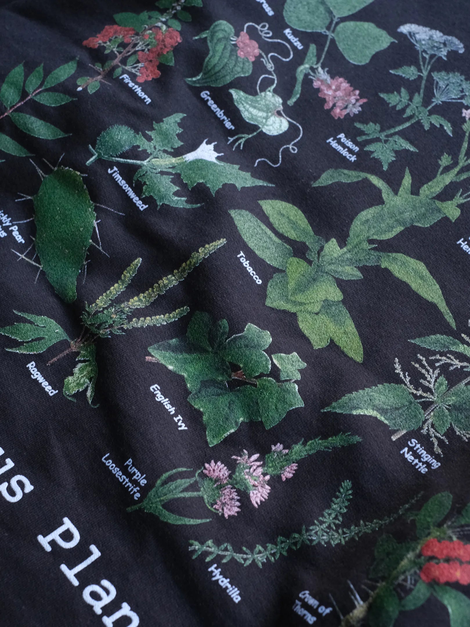 Atlas Screen Printing "Wild Cotton Crew Sweat"