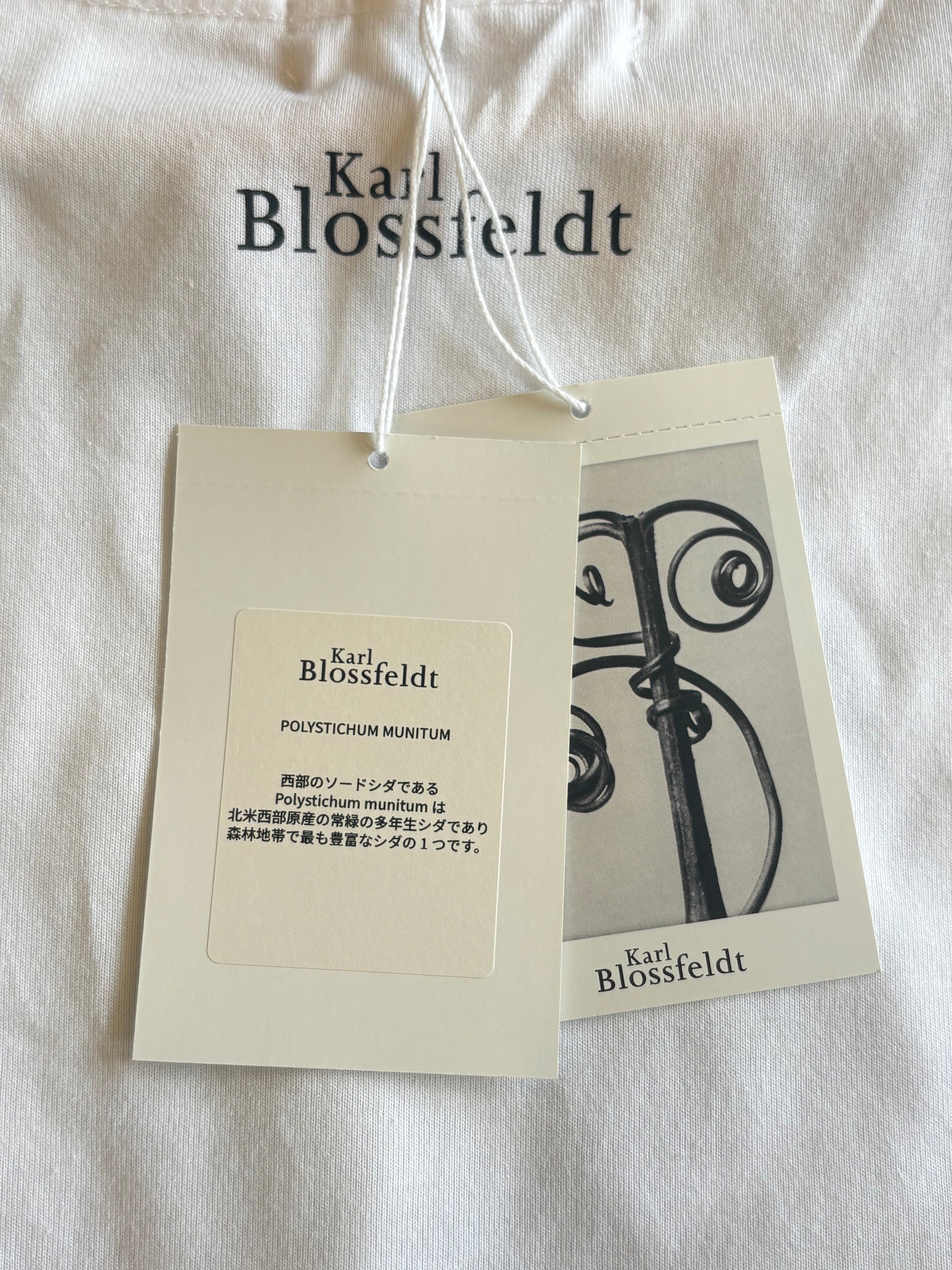 ●PRE-ORDER  Karl Blossfeldt "POLYSTICHUM MUNITUM T-Shirt"(2colors)