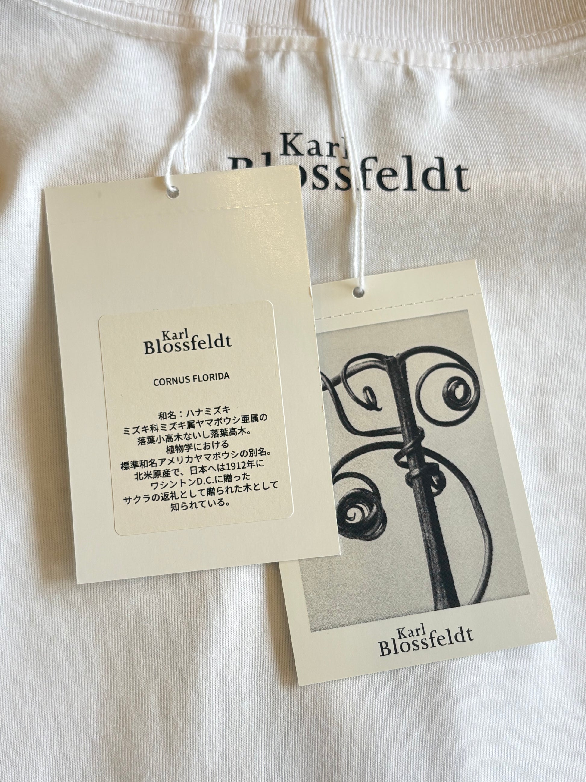 ●PRE-ORDER  Karl Blossfeldt "CORNUS FLORIDA T-Shirt"(2colors)