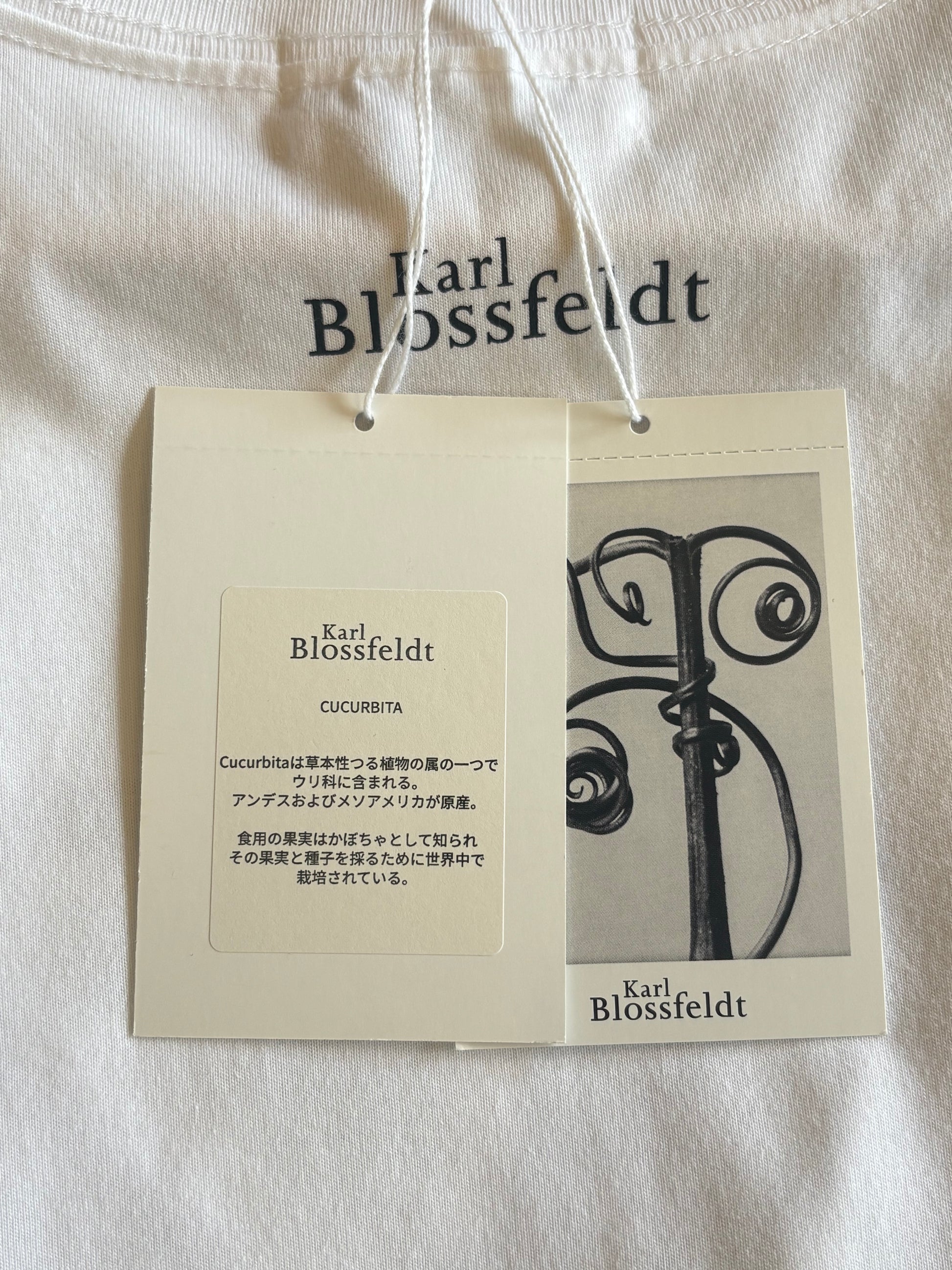 ●PRE-ORDER  Karl Blossfeldt "CUCURBITA T-Shirt"(2colors)