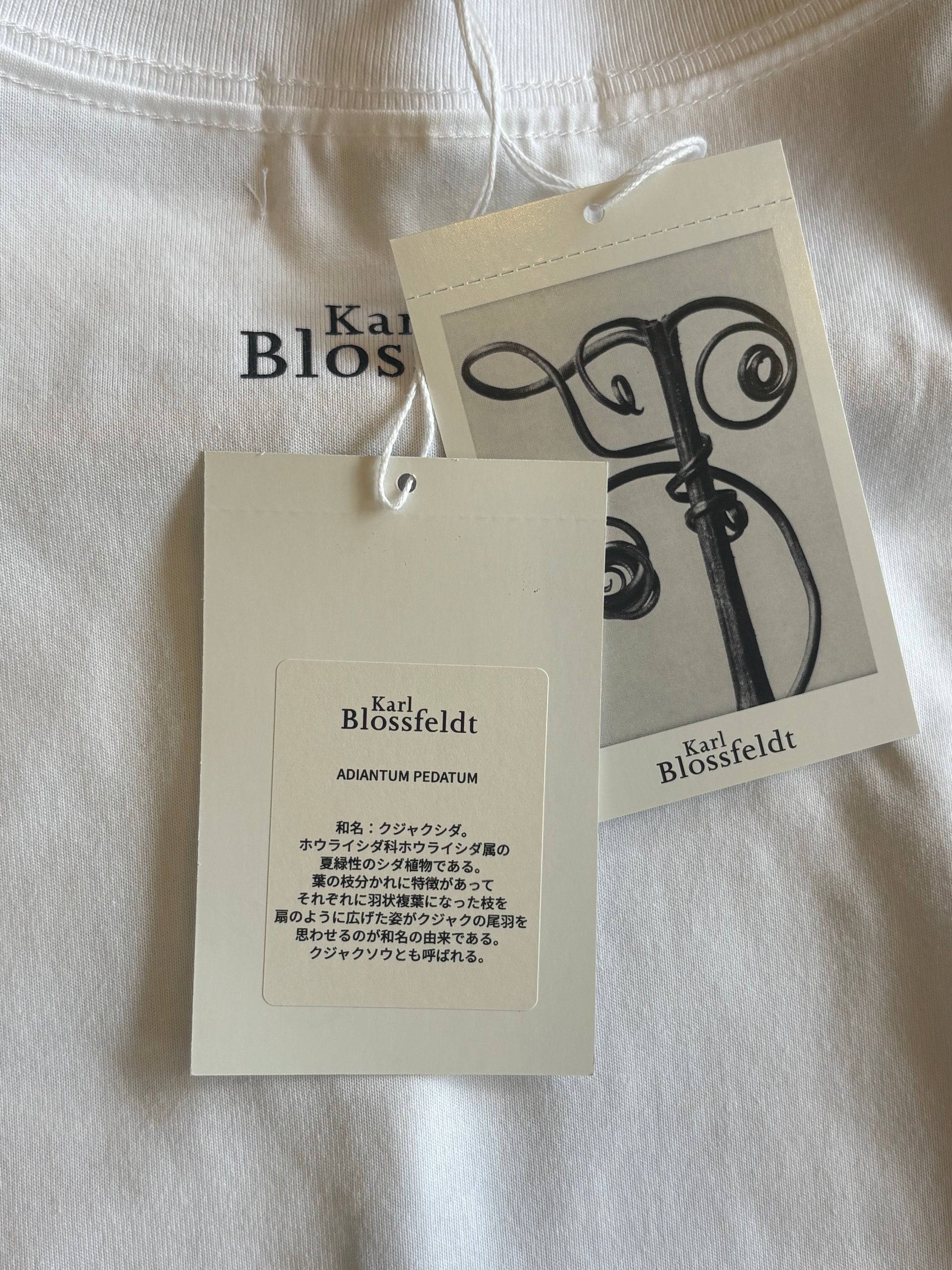 ●PRE-ORDER  Karl Blossfeldt "ADIANTUM PEDATUM T-Shirt"(2colors)