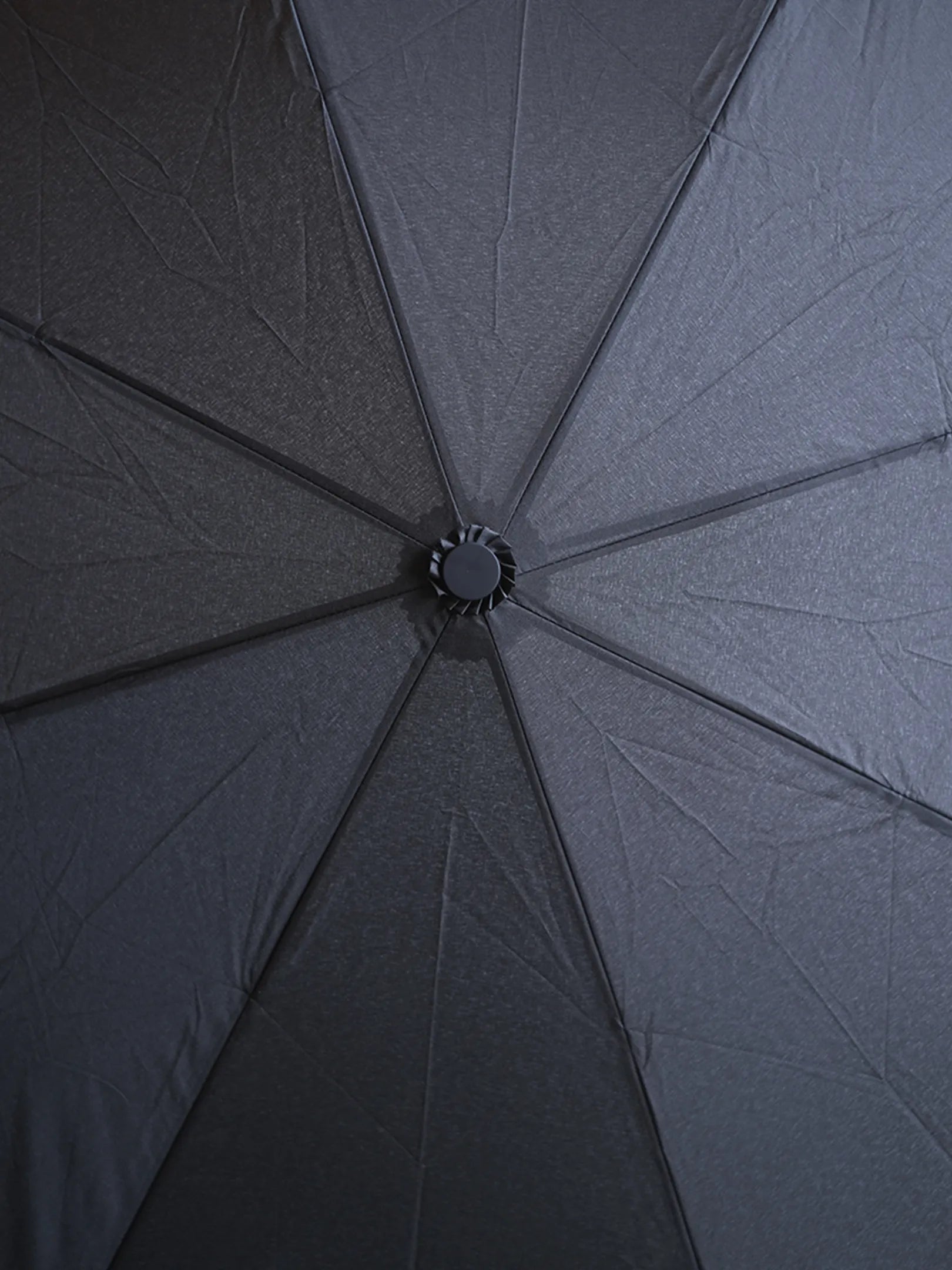ParrMark CRAFT WORKS  "ParrMark folding umbrella"