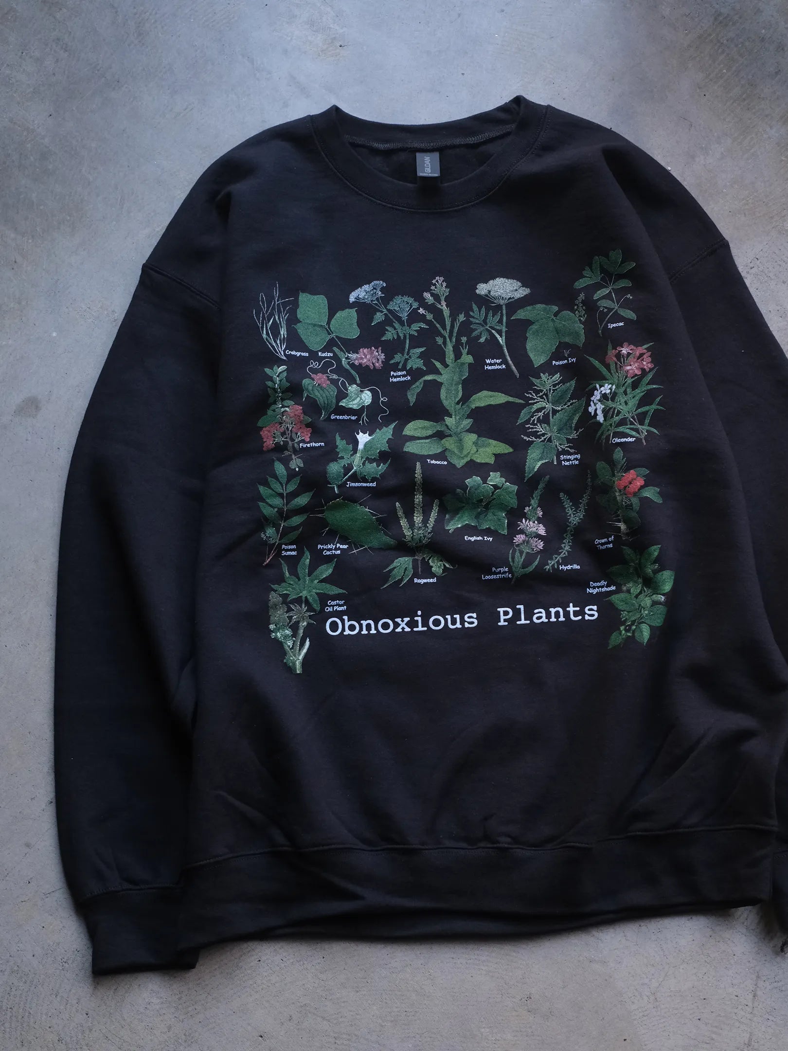 Atlas Screen Printing "Wild Cotton Crew Sweat"