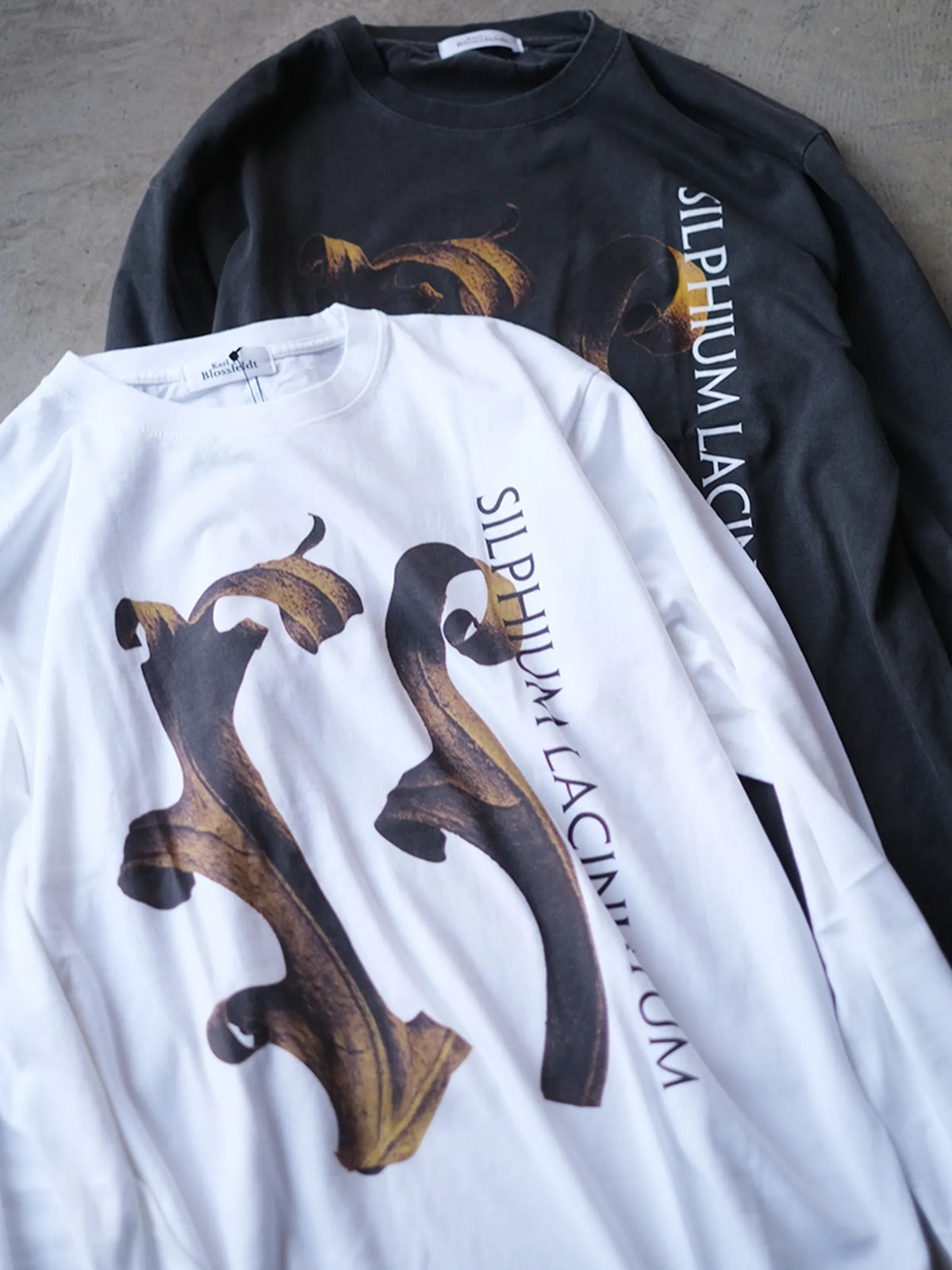 Karl Blossfeldt "Silphium Laciniatum L/S Garment Dye T Shirt"(2colors)