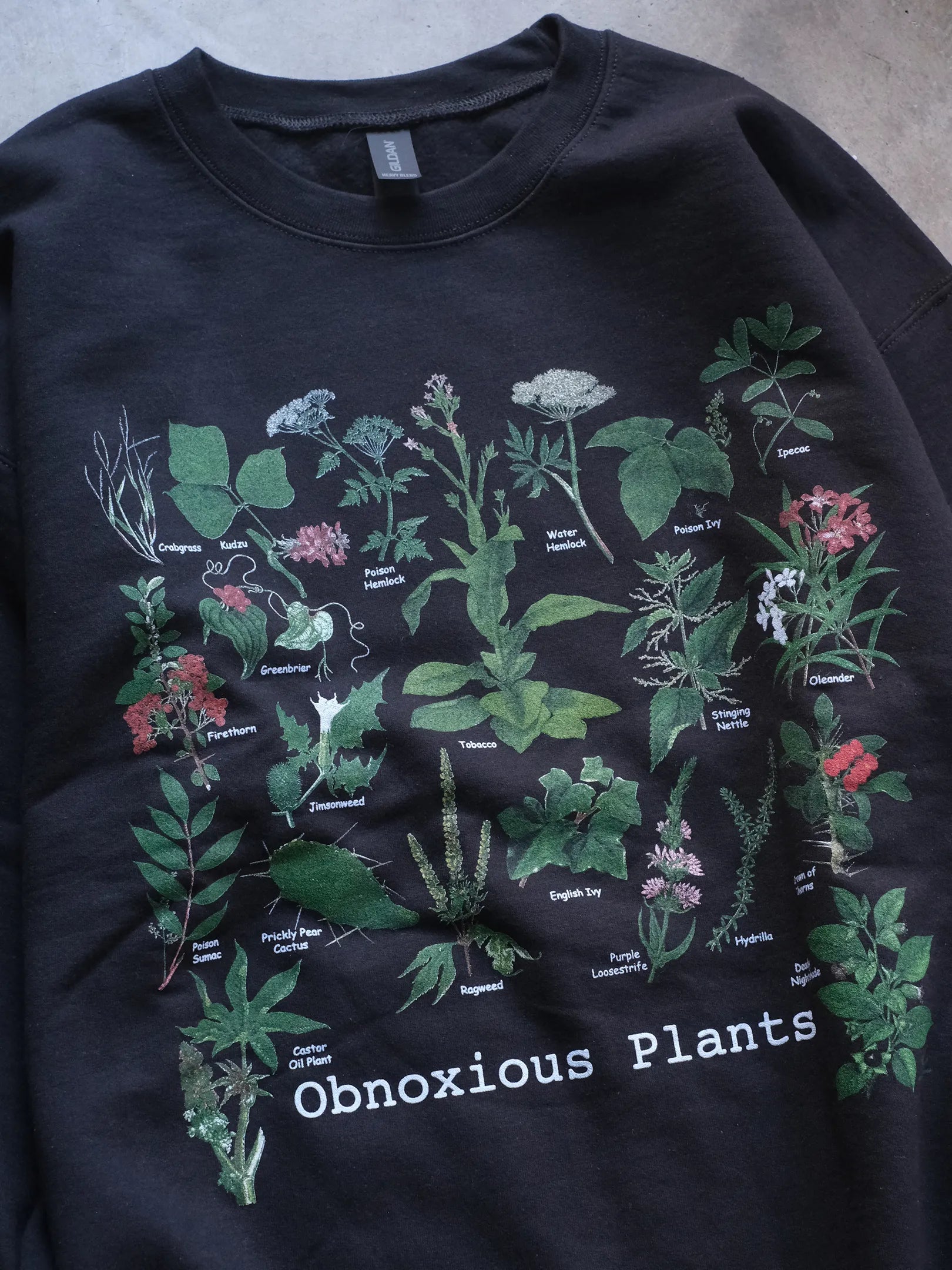 Atlas Screen Printing "Wild Cotton Crew Sweat"