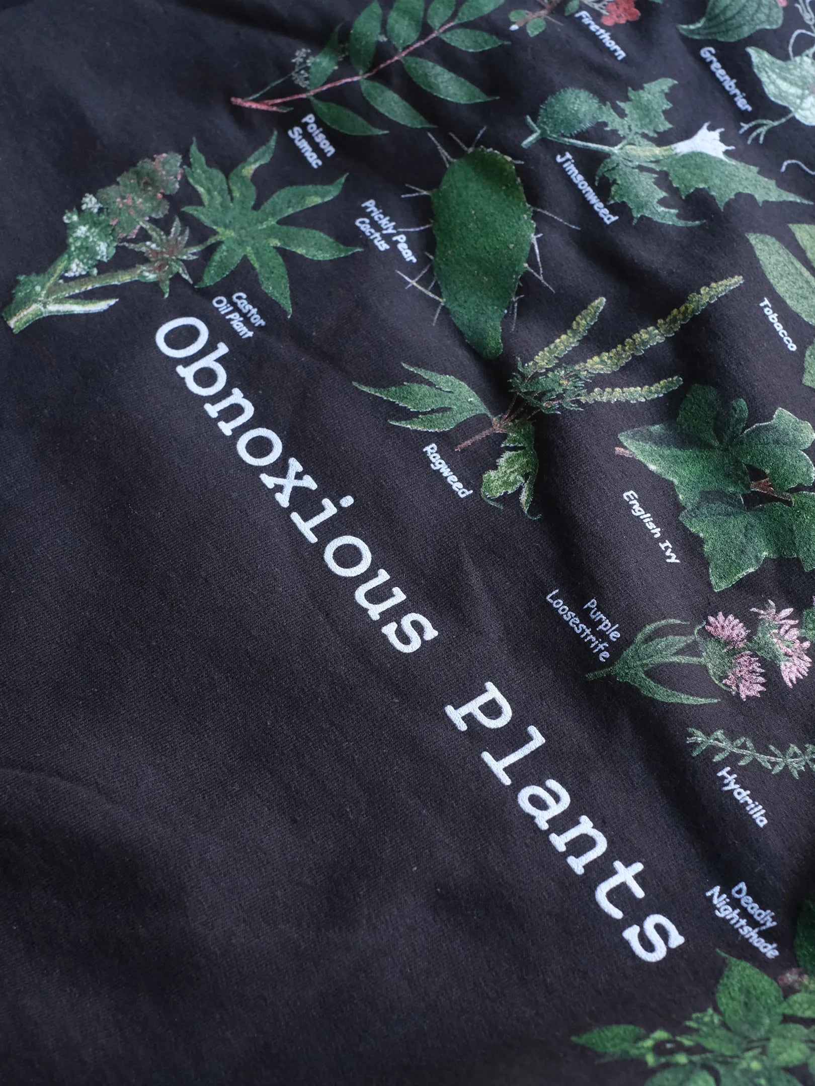 Atlas Screen Printing "Wild Cotton Crew Sweat"