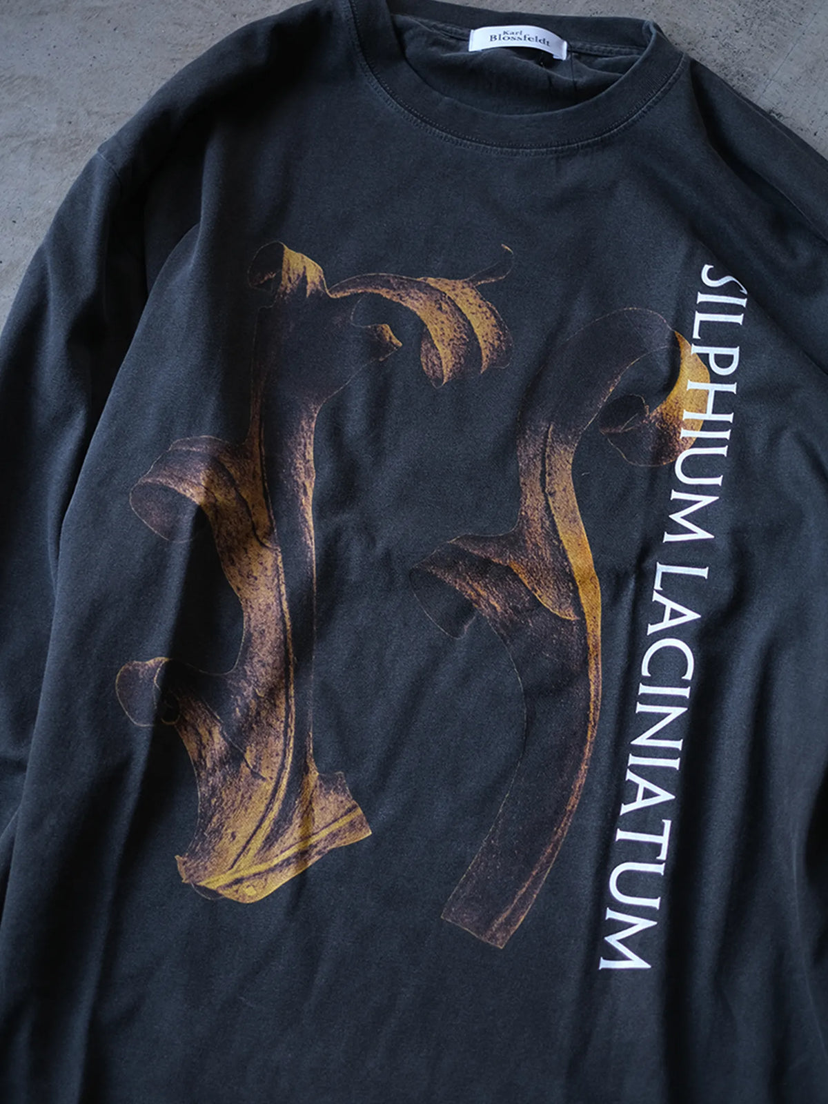 Karl Blossfeldt "Silphium Laciniatum L/S Garment Dye T Shirt"(2colors)