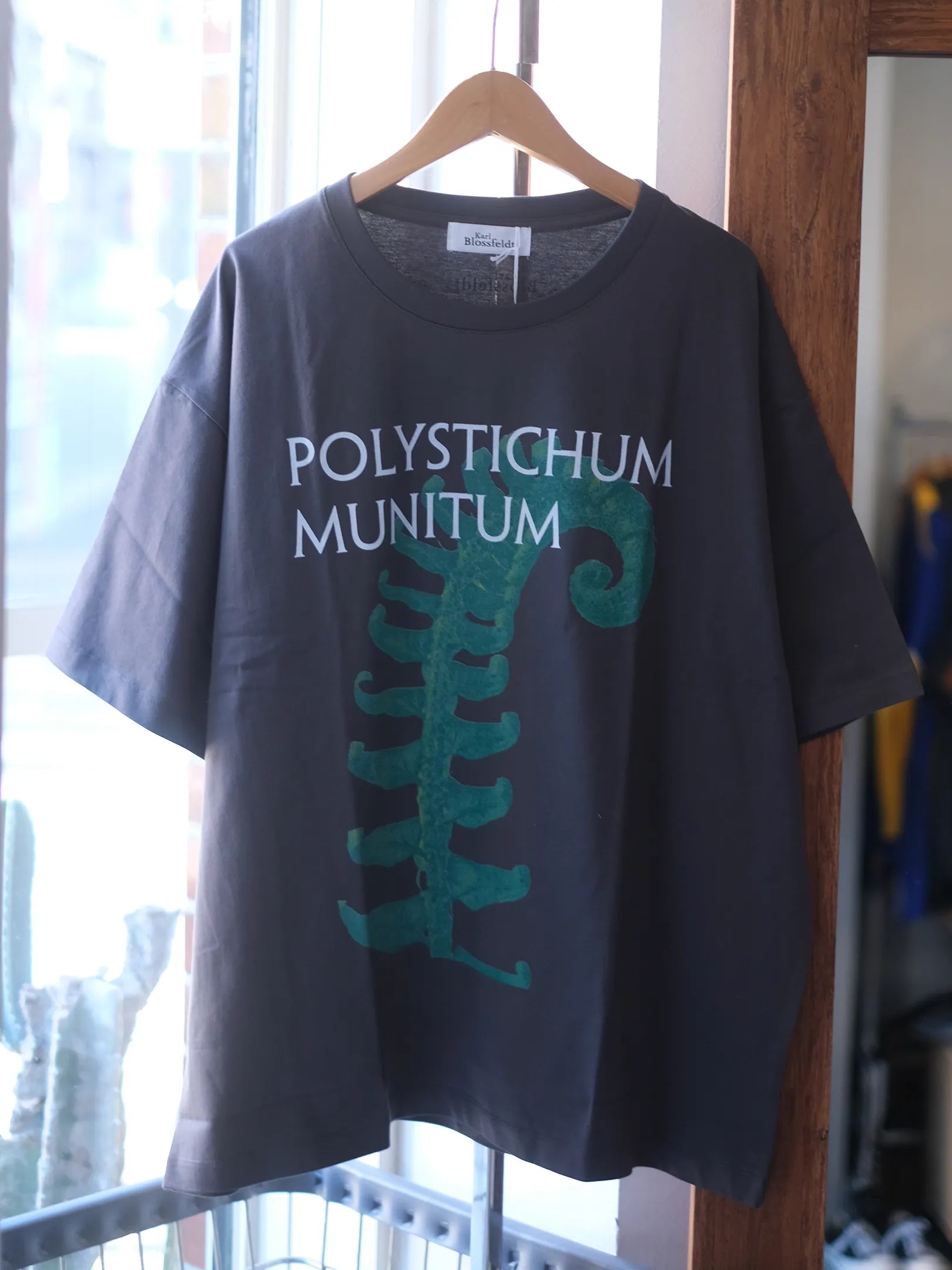 Karl Blossfeldt "POLYSTICHUM MUNITUM T-Shirt"
