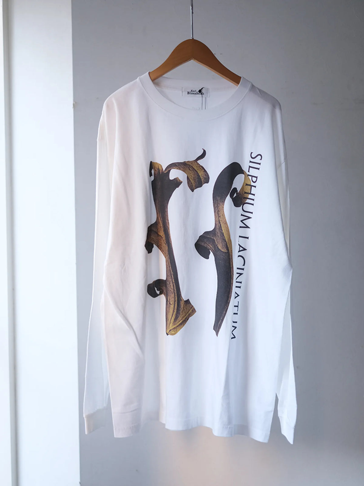 Karl Blossfeldt "Silphium Laciniatum L/S Garment Dye T Shirt"(2colors)