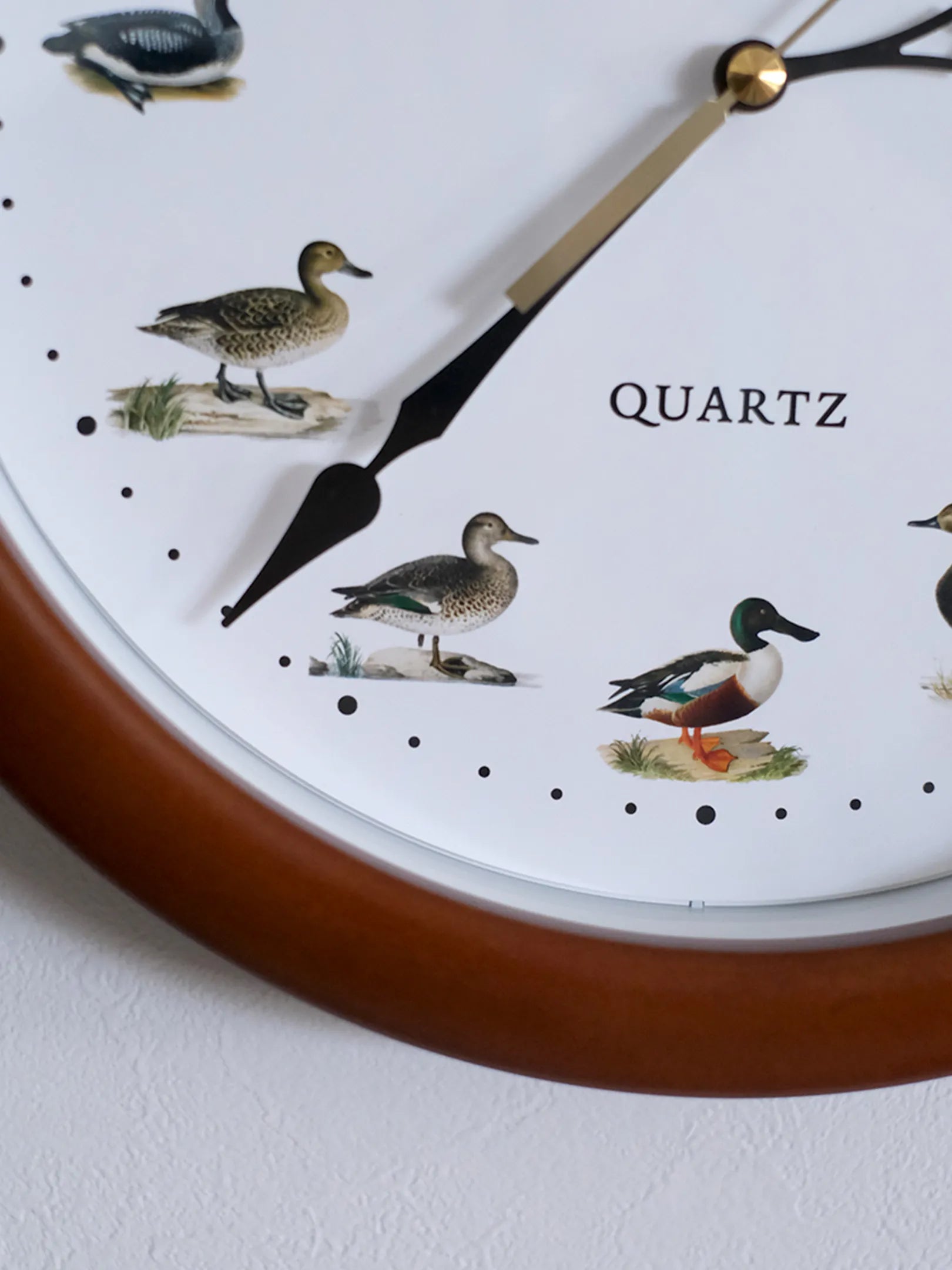 ParrMark CRAFT WORKS  "DUCK WALL CLOCK"