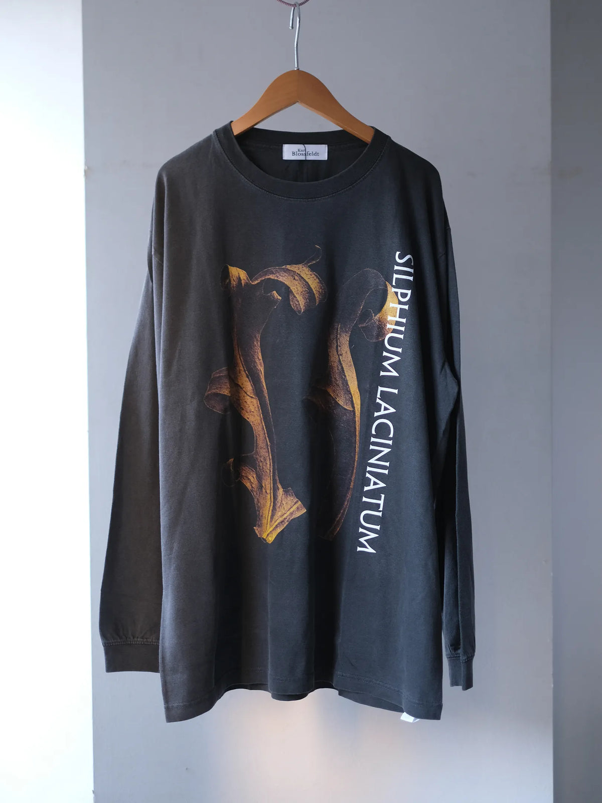 Karl Blossfeldt "Silphium Laciniatum L/S Garment Dye T Shirt"(2colors)