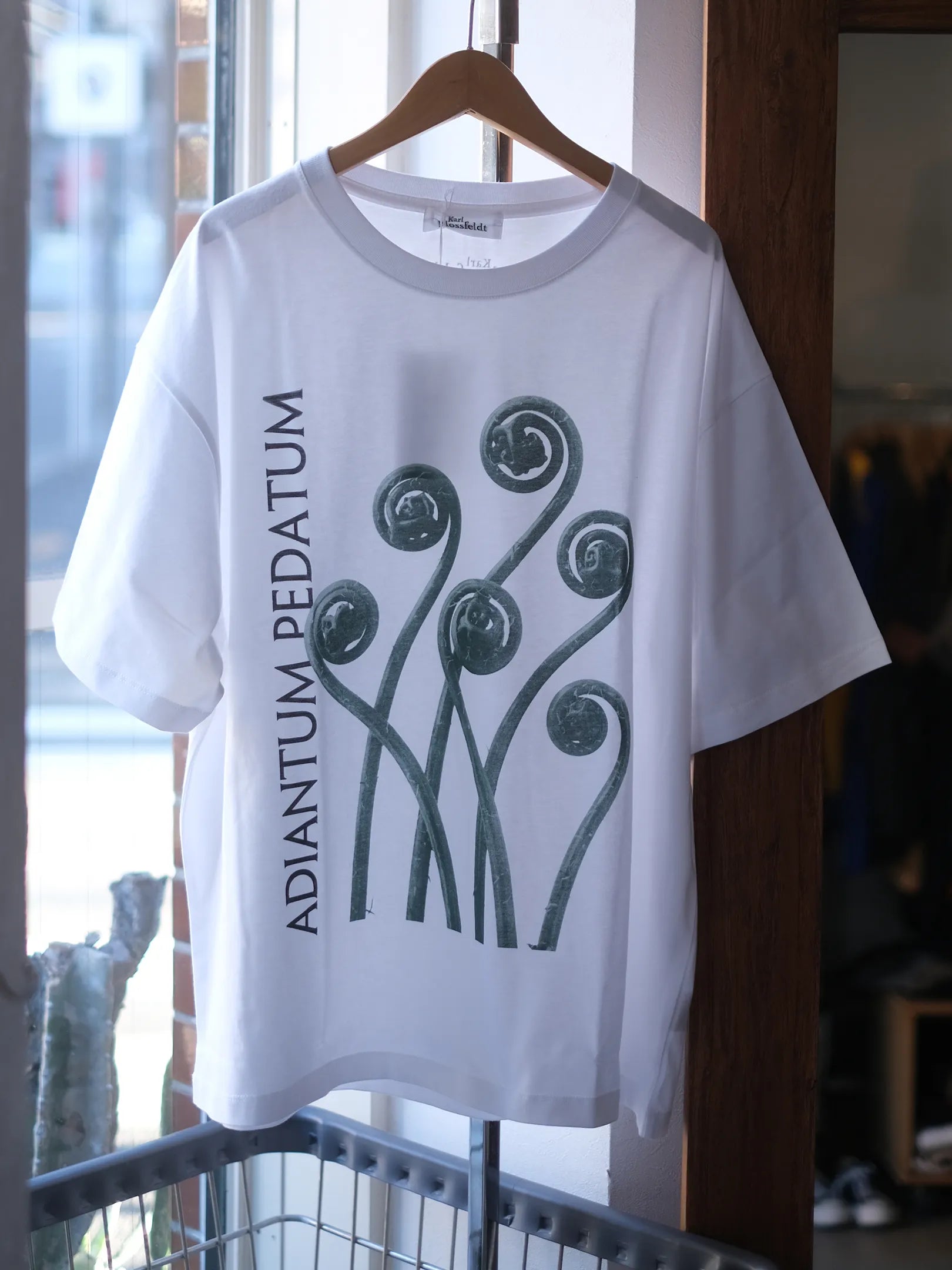 ●PRE-ORDER  Karl Blossfeldt "ADIANTUM PEDATUM T-Shirt"(2colors)