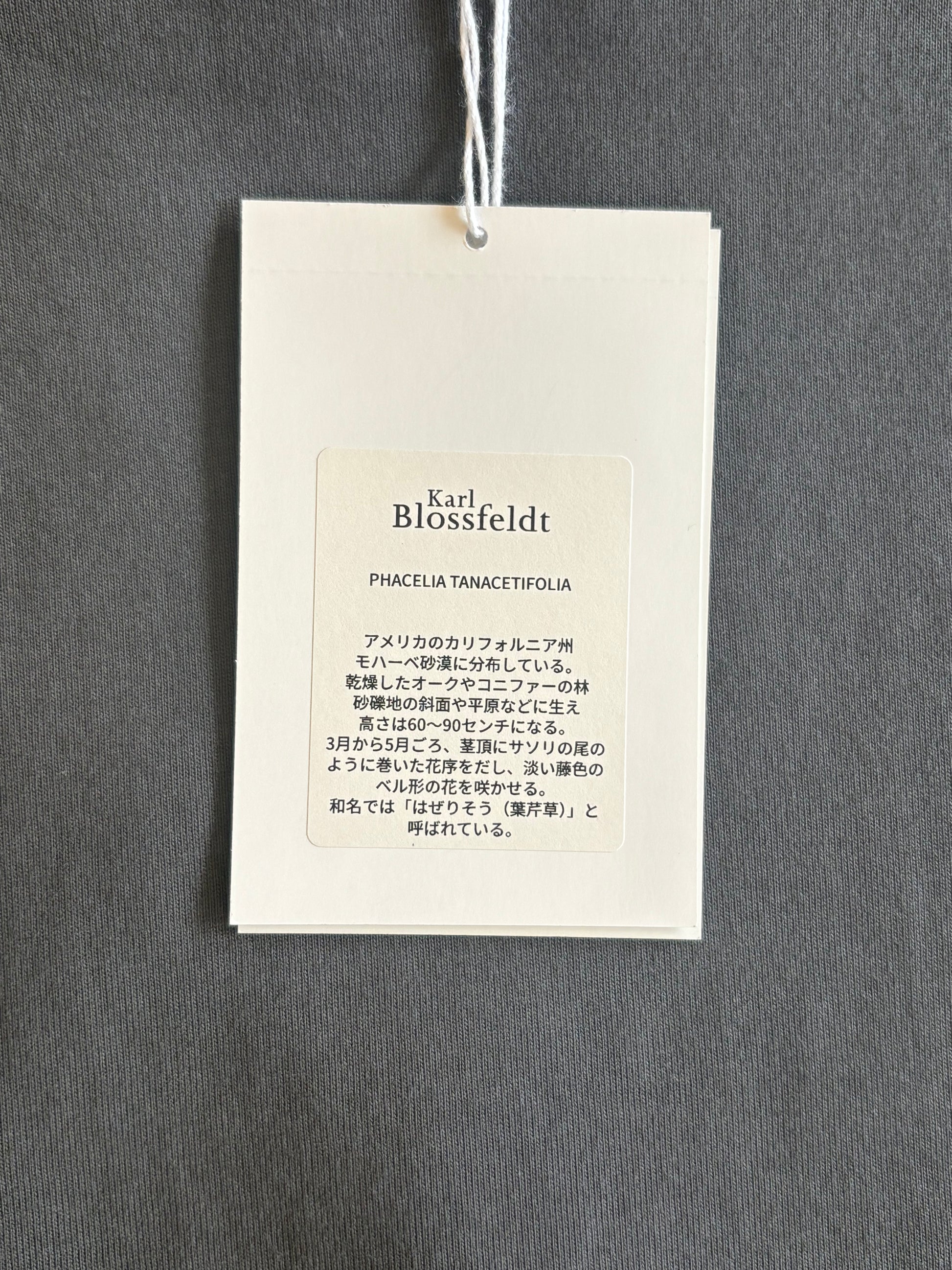 ●PRE-ORDER  Karl Blossfeldt "PHACHELIA TANACETIFOLIA T-Shirt"(2colors)