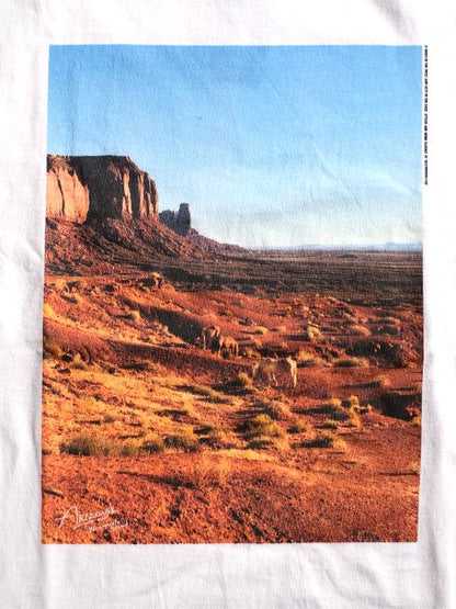 WESTOVERALLS "ARIZONA PHOTO L/S TEE"